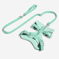 Gummy Cool Dog Accessories Walk Set - Pet Leashes & Collars & Harnesses detail view 11 | Petix pet supplies for dogs and cats