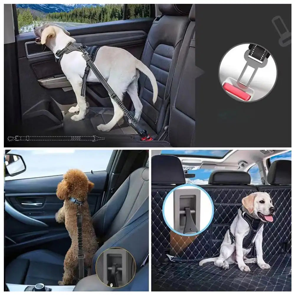 3 in 1 Dog Car Seat Belt Bungee With 360° Lockable Buckle & Hook Latch – Car Accessori… | Petix pet supplies for dogs and cats