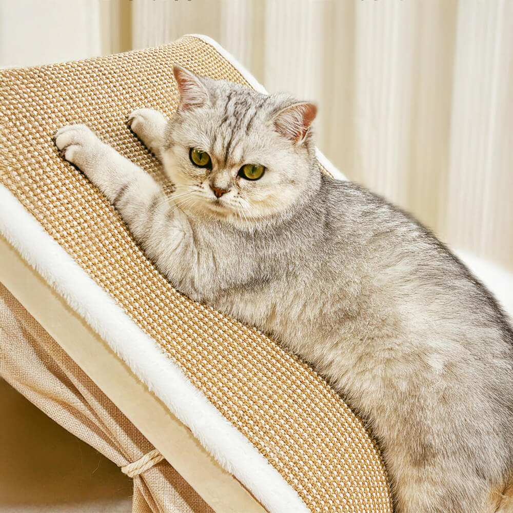 All-in-One Cat Tent with Scratching Roof and Cozy Sleeping Area – Cat Beds (view 6) | Petix pet supplies for dogs and cats
