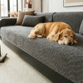 All-Season Breathable Chenille Scratch-Resistant Sofa Protection Couch Cover – Couch C… | Petix pet supplies for dogs and cats