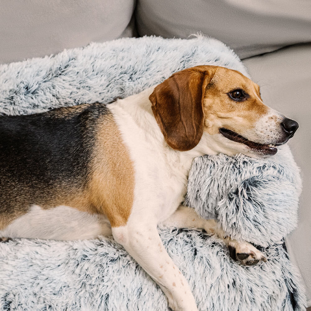 Calming Furniture Protector Dog Bed - Fuzzy Backrest – Couch Cover (view 10) | Petix pet supplies for dogs and cats
