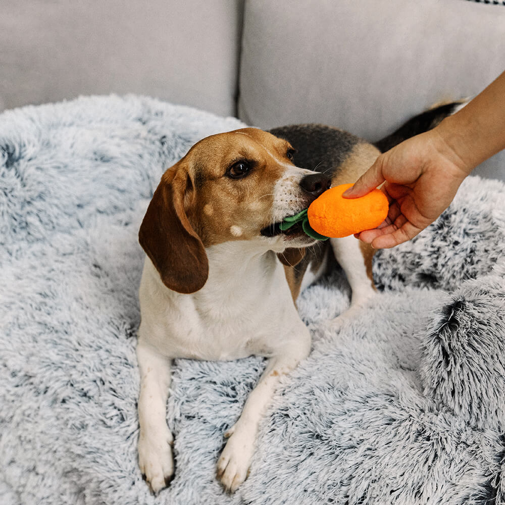 Calming Furniture Protector Dog Bed - Fuzzy Backrest – Couch Cover (view 12) | Petix pet supplies for dogs and cats