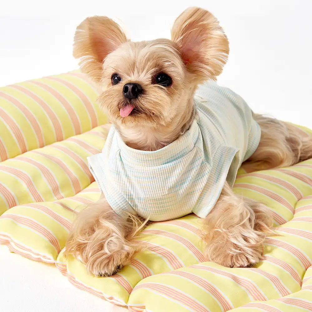 Color-Blocked Striped Breathable Double-Sided Soft Pet Mat – Dog Beds (view 5) | Petix pet supplies for dogs and cats