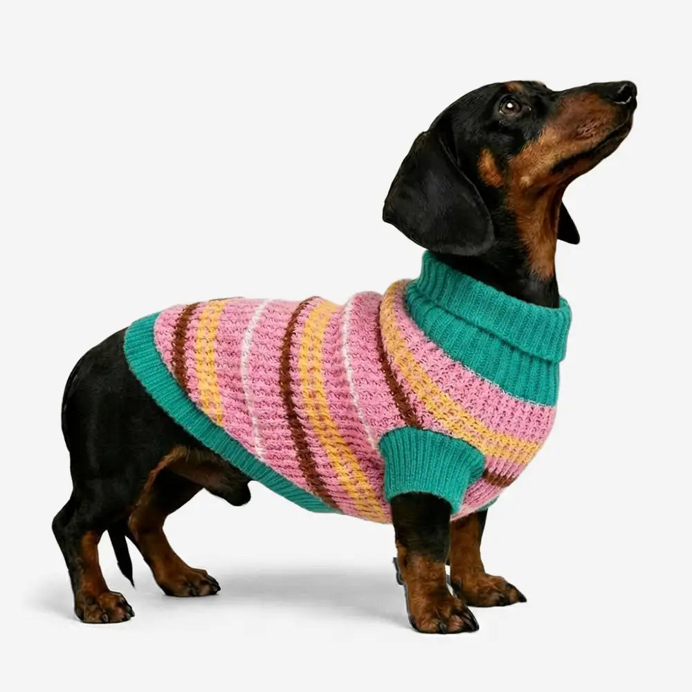 Color Blocked Striped Dog Sweater For Small Dogs – Dog Apparel (main) | Petix pet supplies for dogs and cats