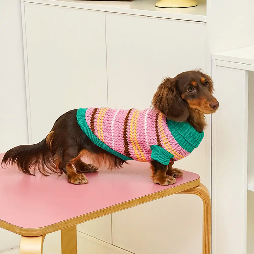 Color Blocked Striped Dog Sweater For Small Dogs – Dog Apparel (view 10) | Petix pet supplies for dogs and cats