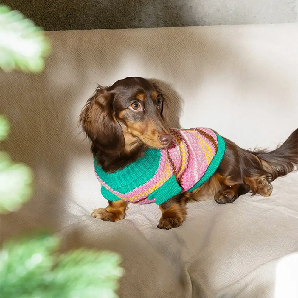 Color Blocked Striped Dog Sweater For Small Dogs – Dog Apparel (view 11) | Petix pet supplies for dogs and cats