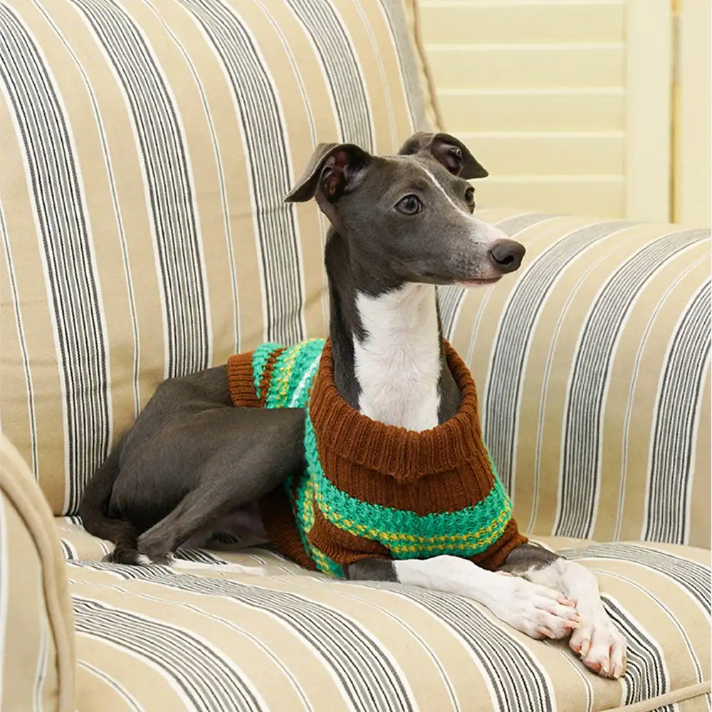 Color Blocked Striped Dog Sweater For Small Dogs – Dog Apparel (view 12) | Petix pet supplies for dogs and cats