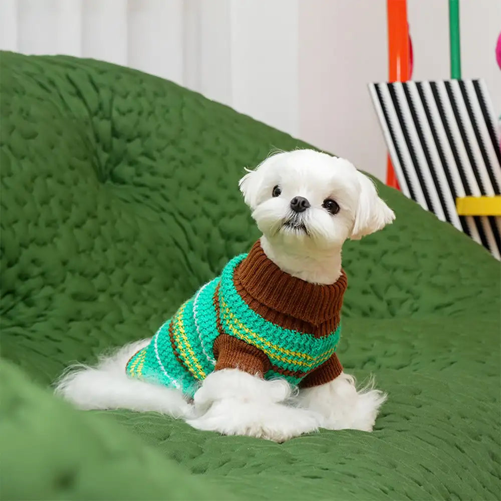 Color Blocked Striped Dog Sweater For Small Dogs – Dog Apparel (view 13) | Petix pet supplies for dogs and cats