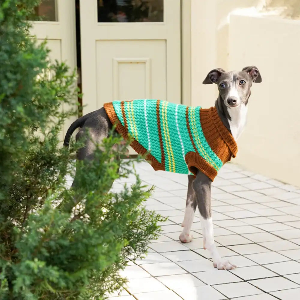 Color Blocked Striped Dog Sweater For Small Dogs – Dog Apparel (view 14) | Petix pet supplies for dogs and cats