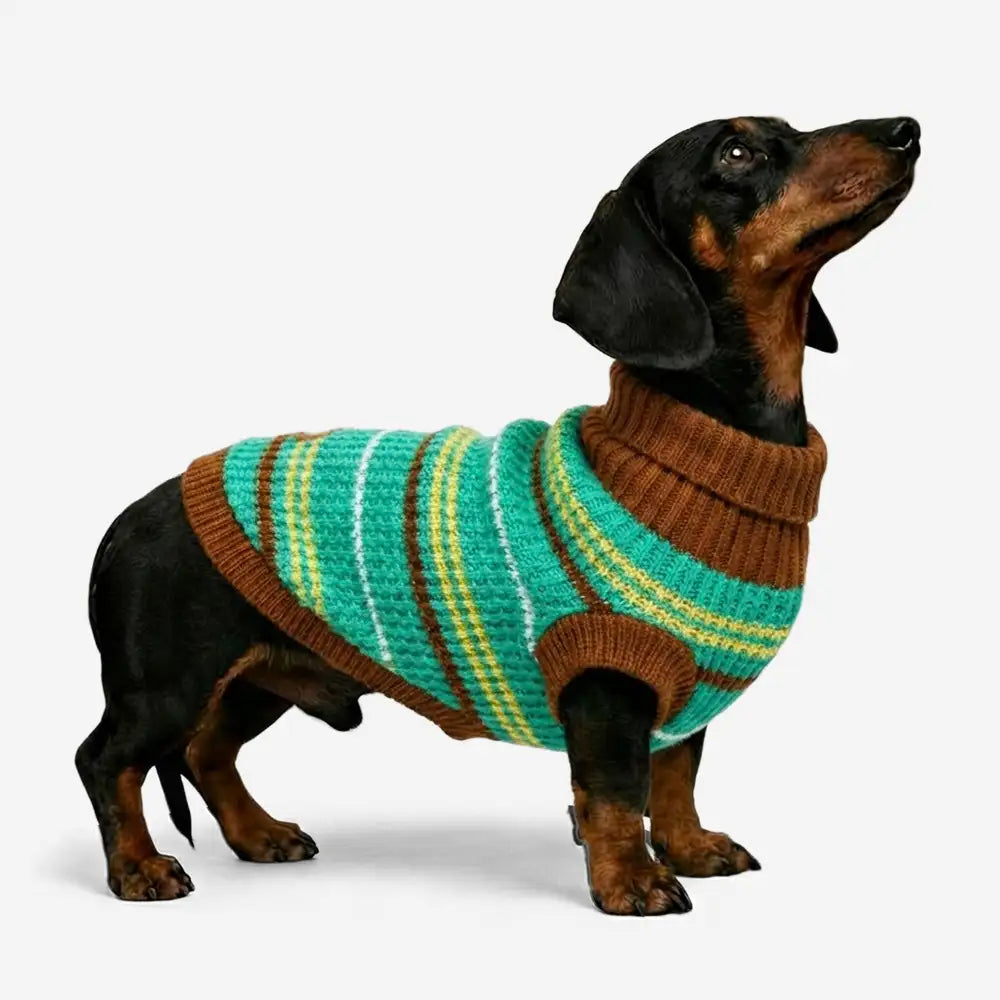 Color Blocked Striped Dog Sweater For Small Dogs – Dog Apparel (view 2) | Petix pet supplies for dogs and cats