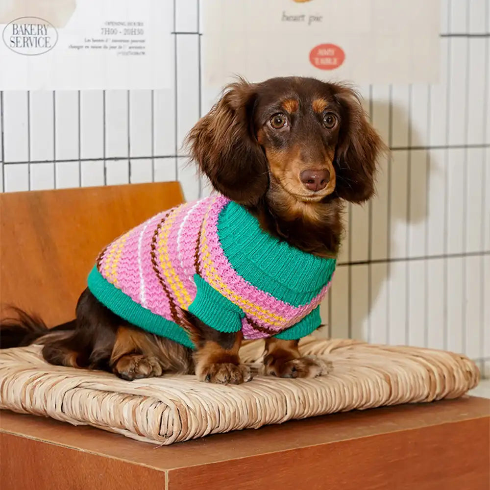 Color Blocked Striped Dog Sweater For Small Dogs – Dog Apparel (view 3) | Petix pet supplies for dogs and cats