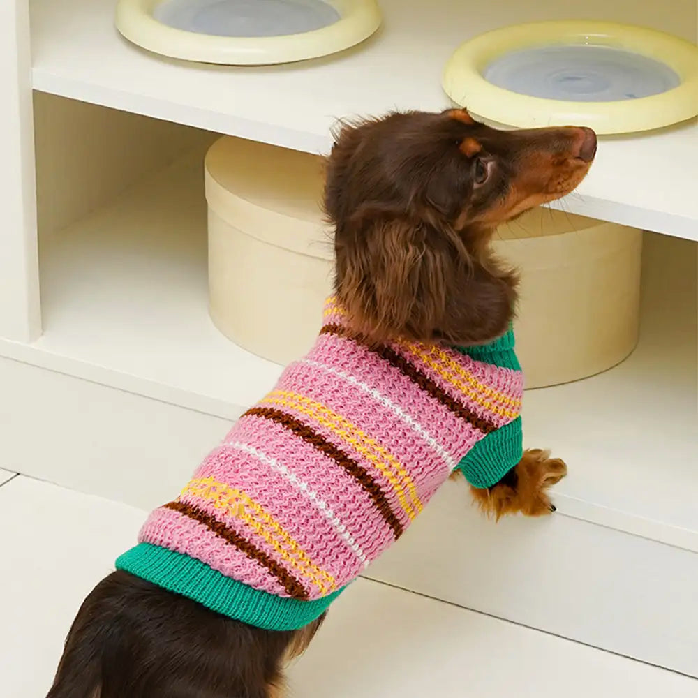 Color Blocked Striped Dog Sweater For Small Dogs – Dog Apparel (view 4) | Petix pet supplies for dogs and cats