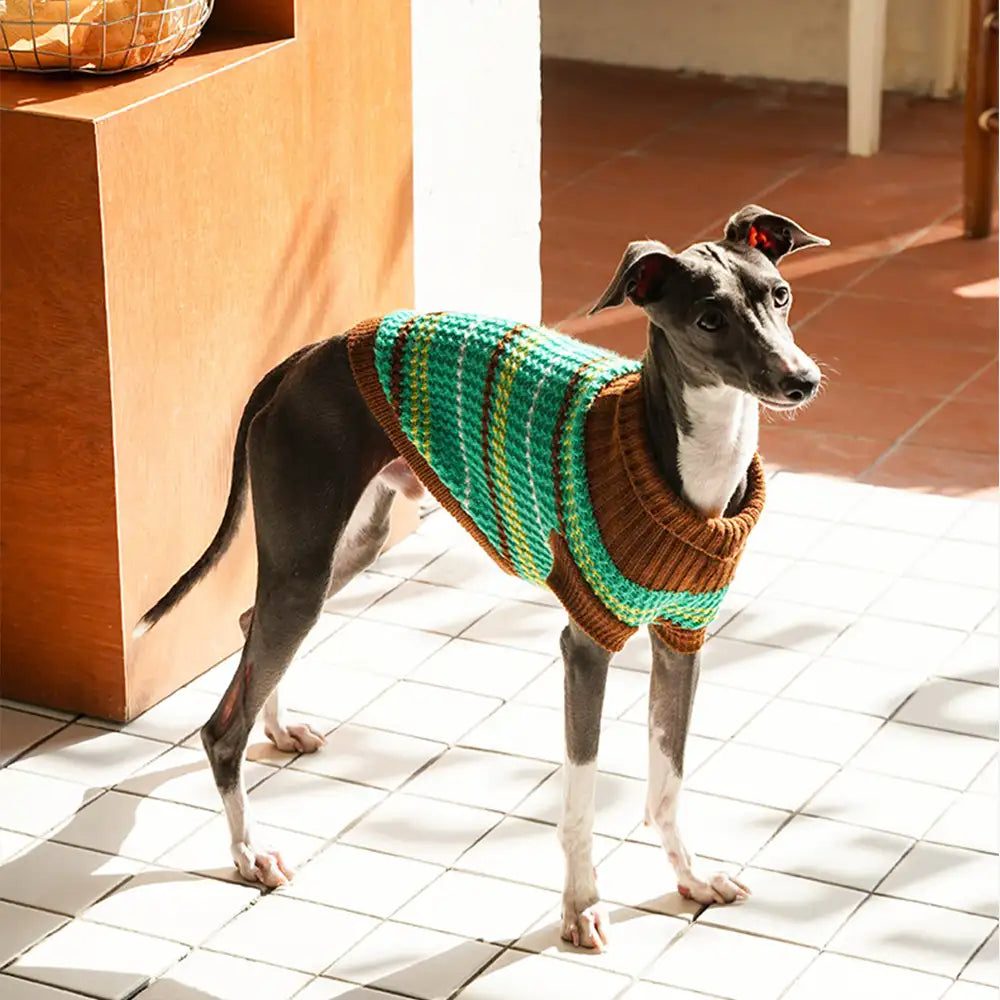 Color Blocked Striped Dog Sweater For Small Dogs – Dog Apparel (view 5) | Petix pet supplies for dogs and cats