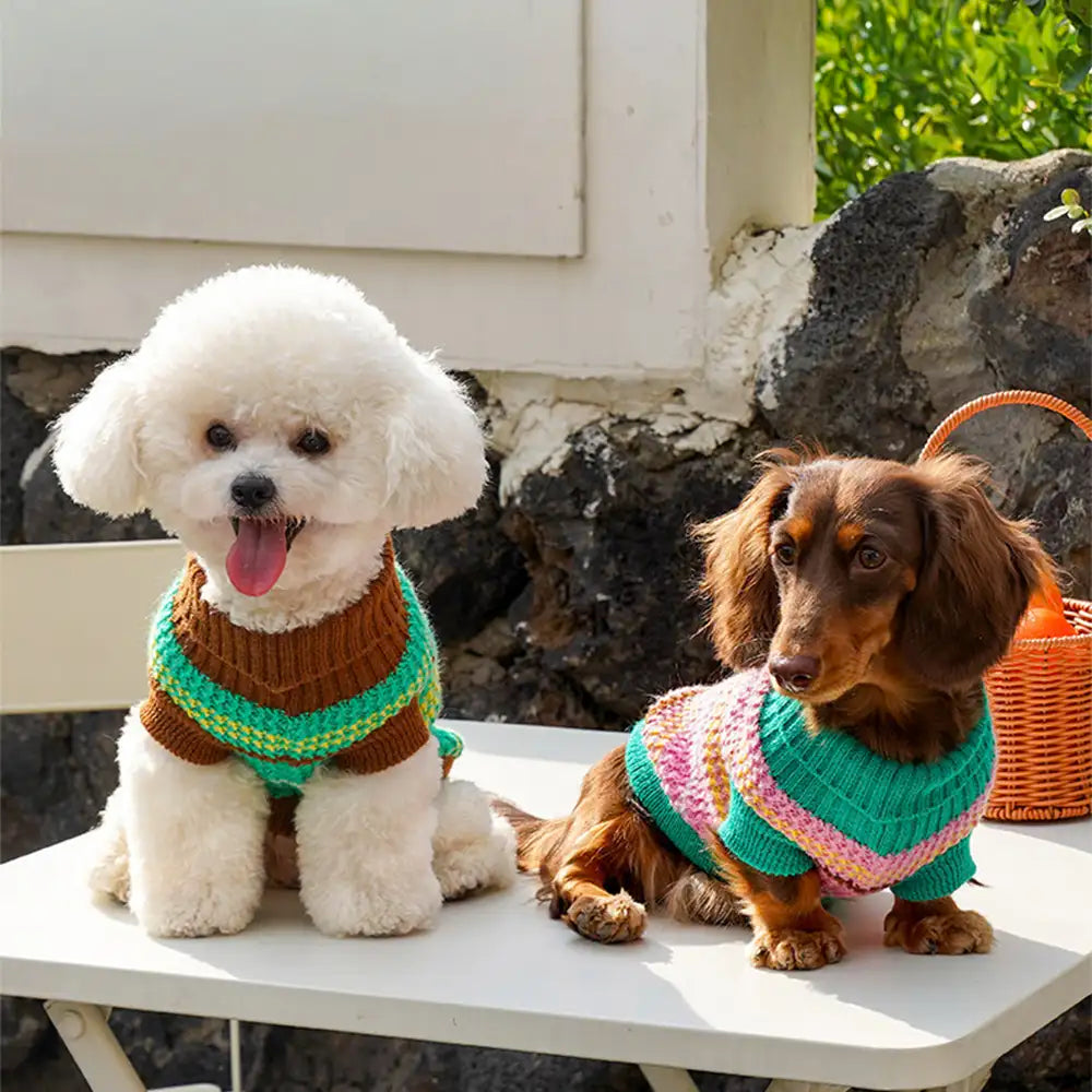 Color Blocked Striped Dog Sweater For Small Dogs – Dog Apparel (view 8) | Petix pet supplies for dogs and cats