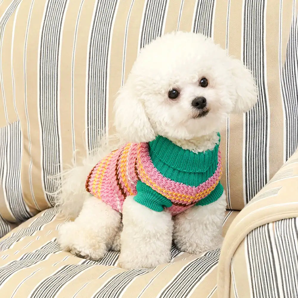 Color Blocked Striped Dog Sweater For Small Dogs – Dog Apparel (view 9) | Petix pet supplies for dogs and cats