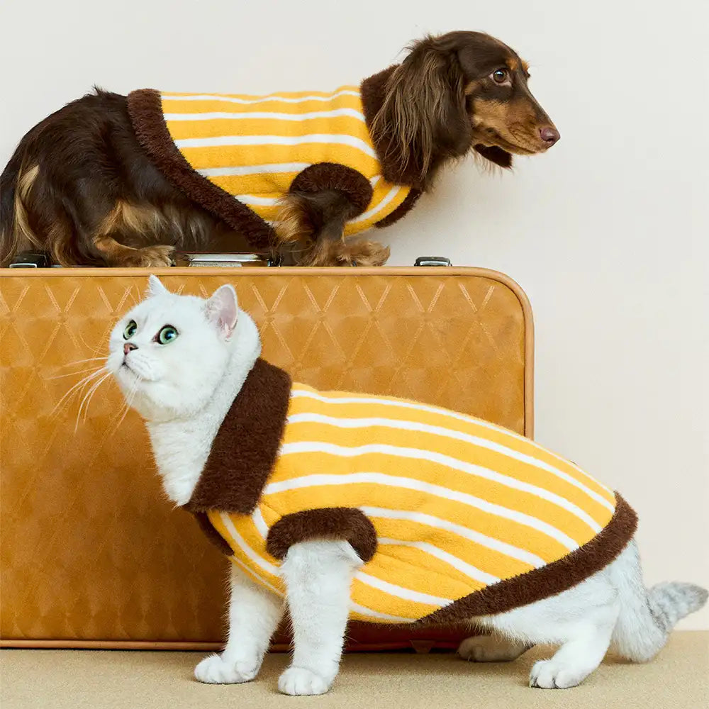 Color Blocked Striped Polo Collar Dog Sweater For Small Dogs – Dog Apparel (view 10) | Petix pet supplies for dogs and cats