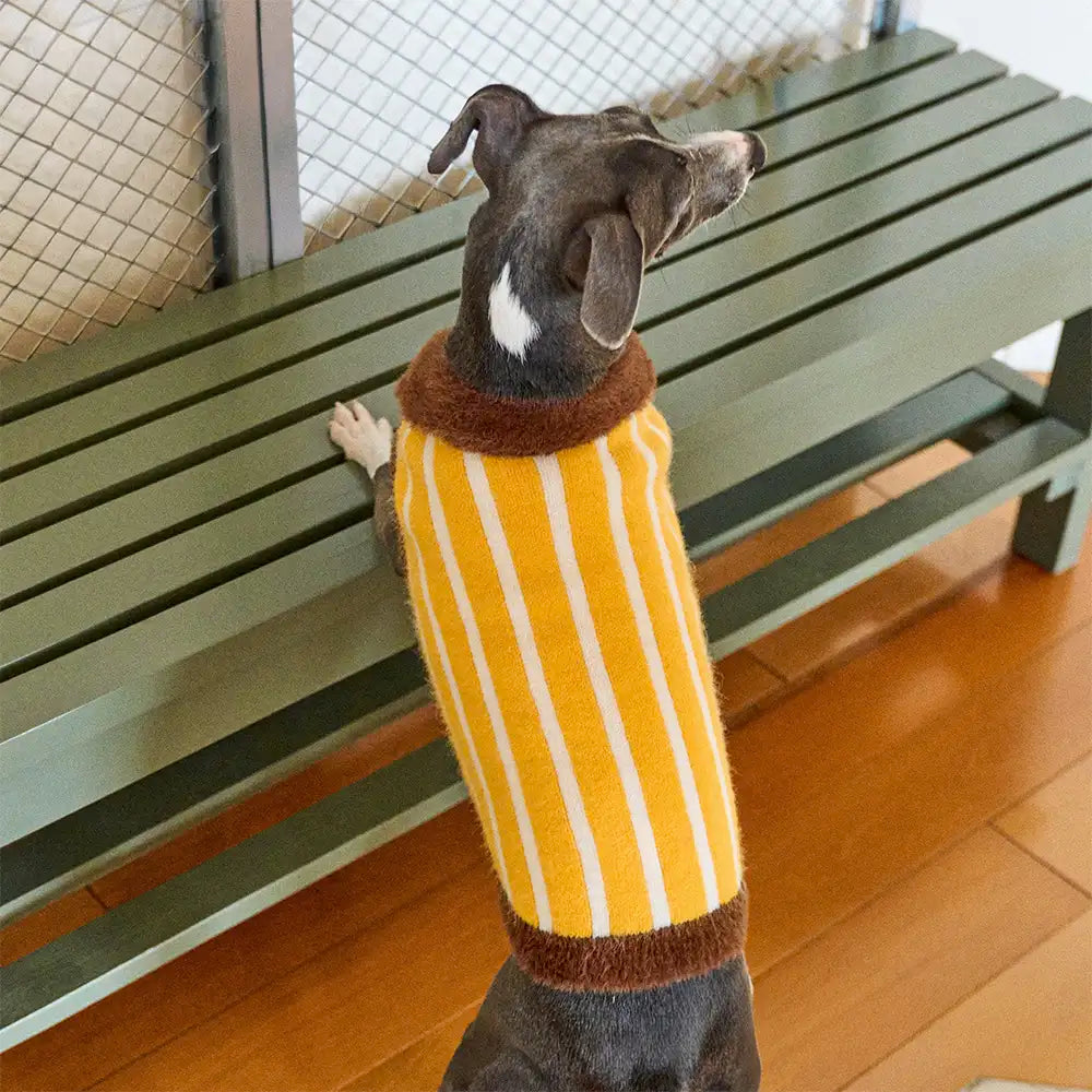 Color Blocked Striped Polo Collar Dog Sweater For Small Dogs – Dog Apparel (view 11) | Petix pet supplies for dogs and cats
