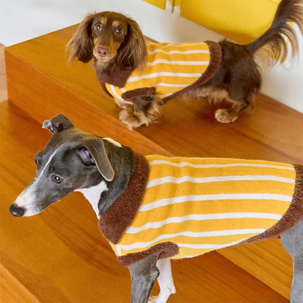 Color Blocked Striped Polo Collar Dog Sweater For Small Dogs – Dog Apparel (view 2) | Petix pet supplies for dogs and cats