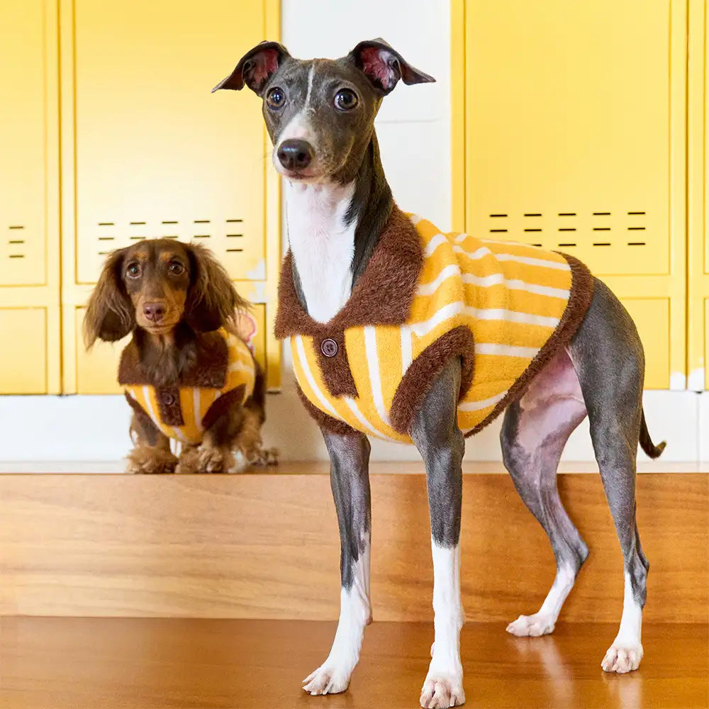 Color Blocked Striped Polo Collar Dog Sweater For Small Dogs – Dog Apparel (view 3) | Petix pet supplies for dogs and cats