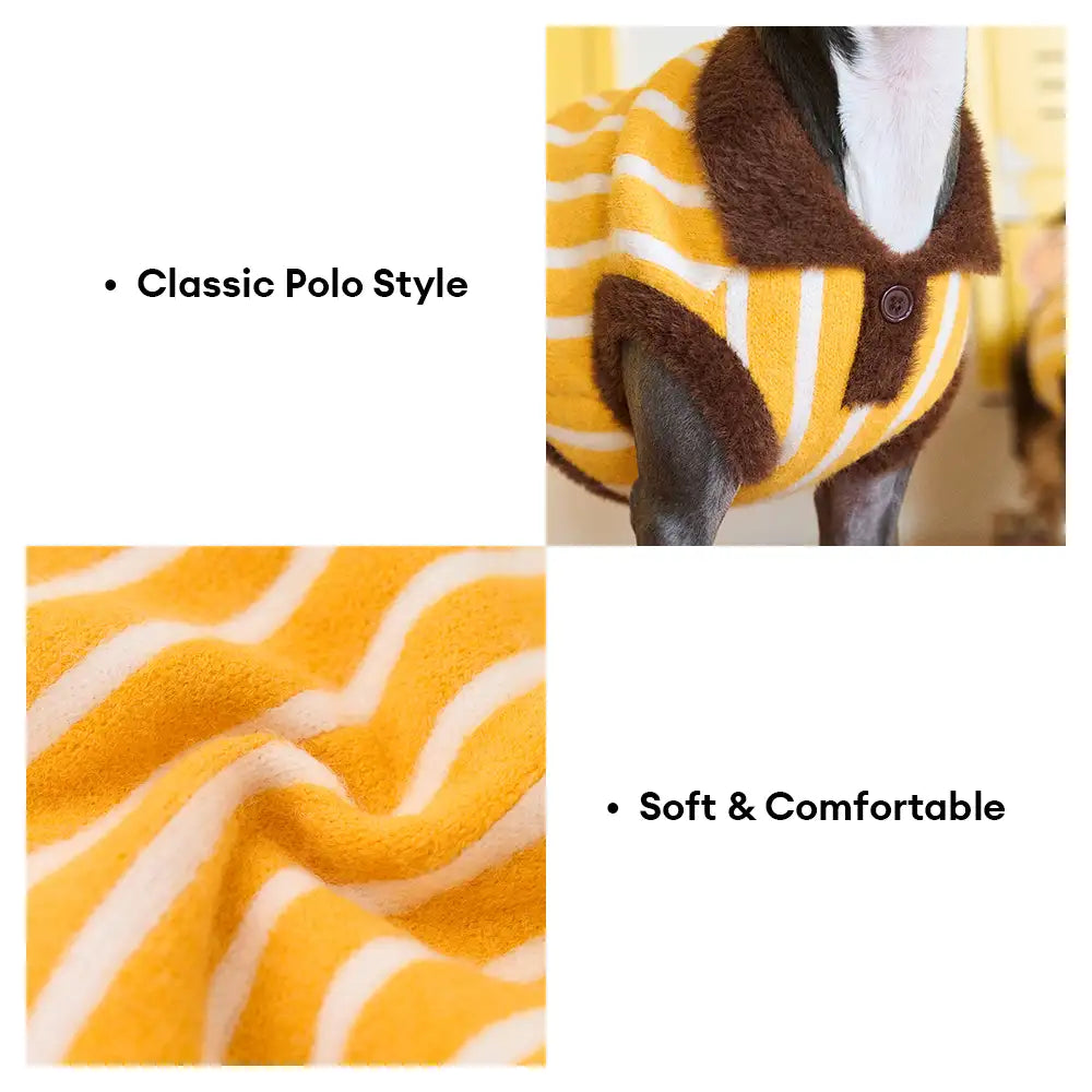 Color Blocked Striped Polo Collar Dog Sweater For Small Dogs – Dog Apparel (view 4) | Petix pet supplies for dogs and cats