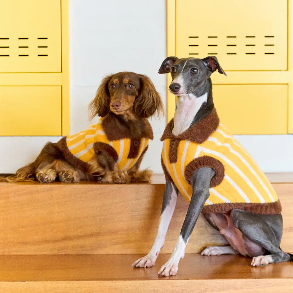 Color Blocked Striped Polo Collar Dog Sweater For Small Dogs – Dog Apparel (view 5) | Petix pet supplies for dogs and cats