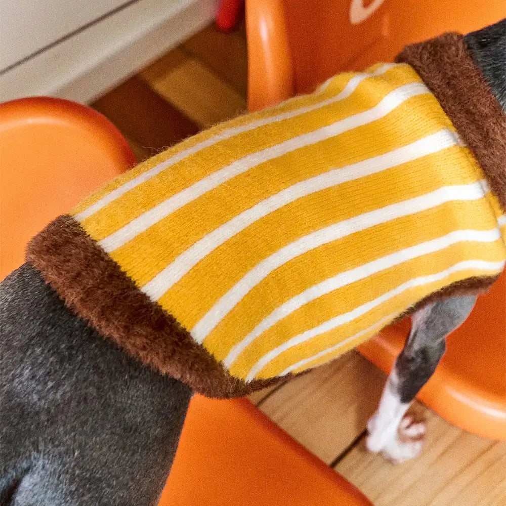 Color Blocked Striped Polo Collar Dog Sweater For Small Dogs – Dog Apparel (view 7) | Petix pet supplies for dogs and cats