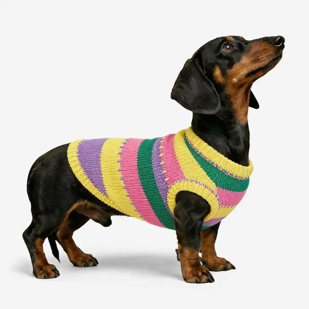 Color Blocked Striped Sleeveless Dog Sweater For Small Dogs – Dog Apparel (main) | Petix pet supplies for dogs and cats