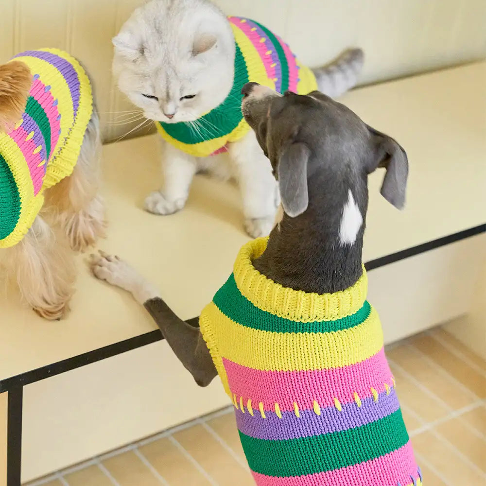 Color Blocked Striped Sleeveless Dog Sweater For Small Dogs – Dog Apparel (view 10) | Petix pet supplies for dogs and cats