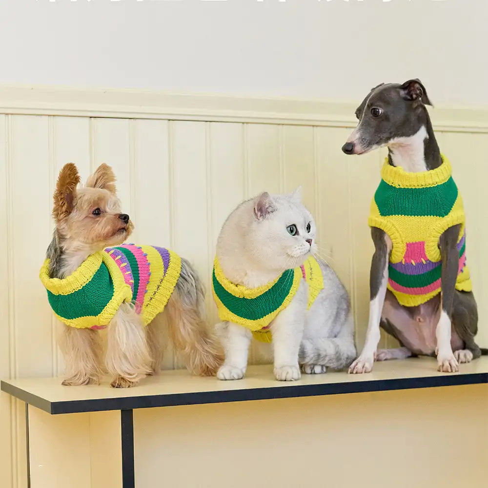 Color Blocked Striped Sleeveless Dog Sweater For Small Dogs – Dog Apparel (view 2) | Petix pet supplies for dogs and cats