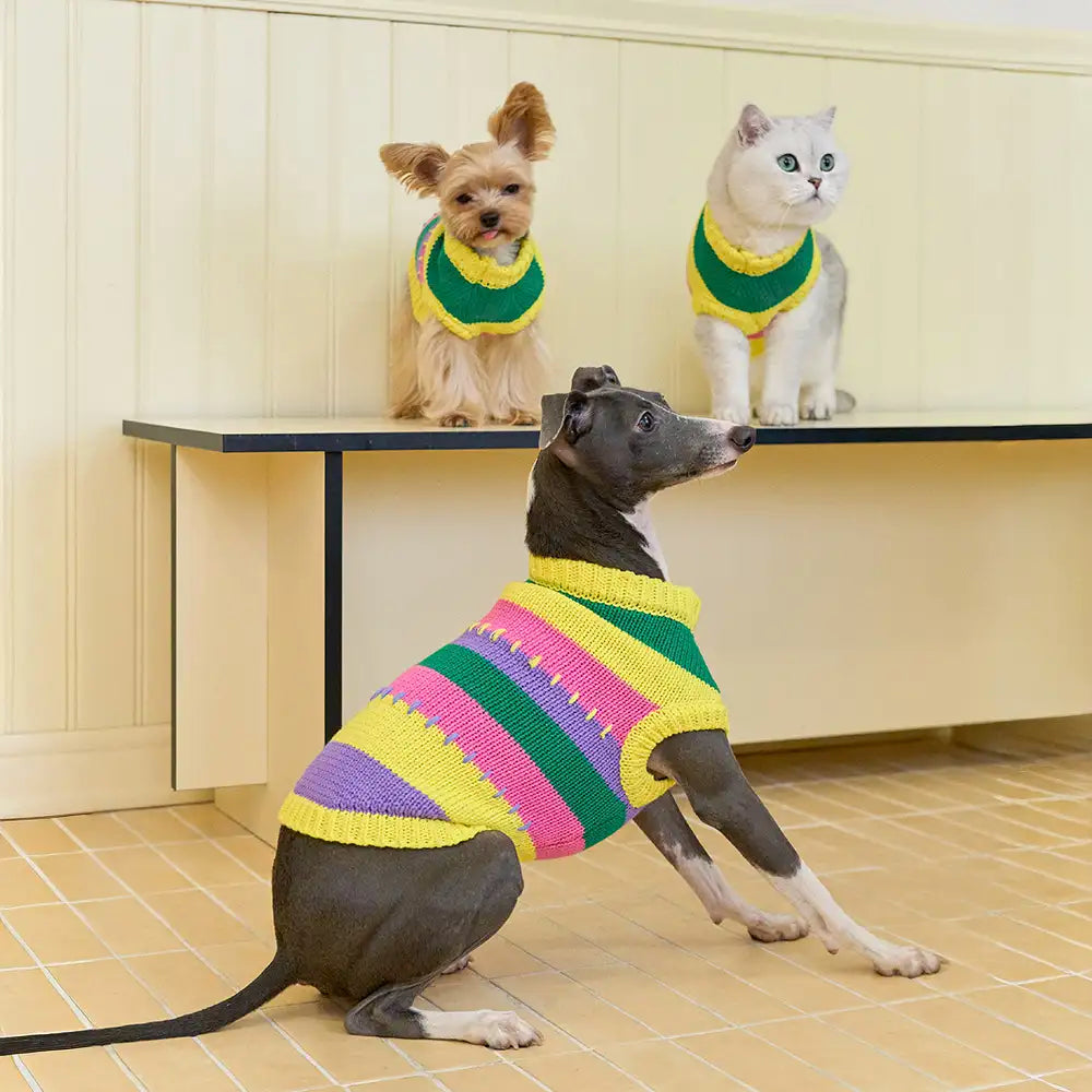 Color Blocked Striped Sleeveless Dog Sweater For Small Dogs – Dog Apparel (view 3) | Petix pet supplies for dogs and cats
