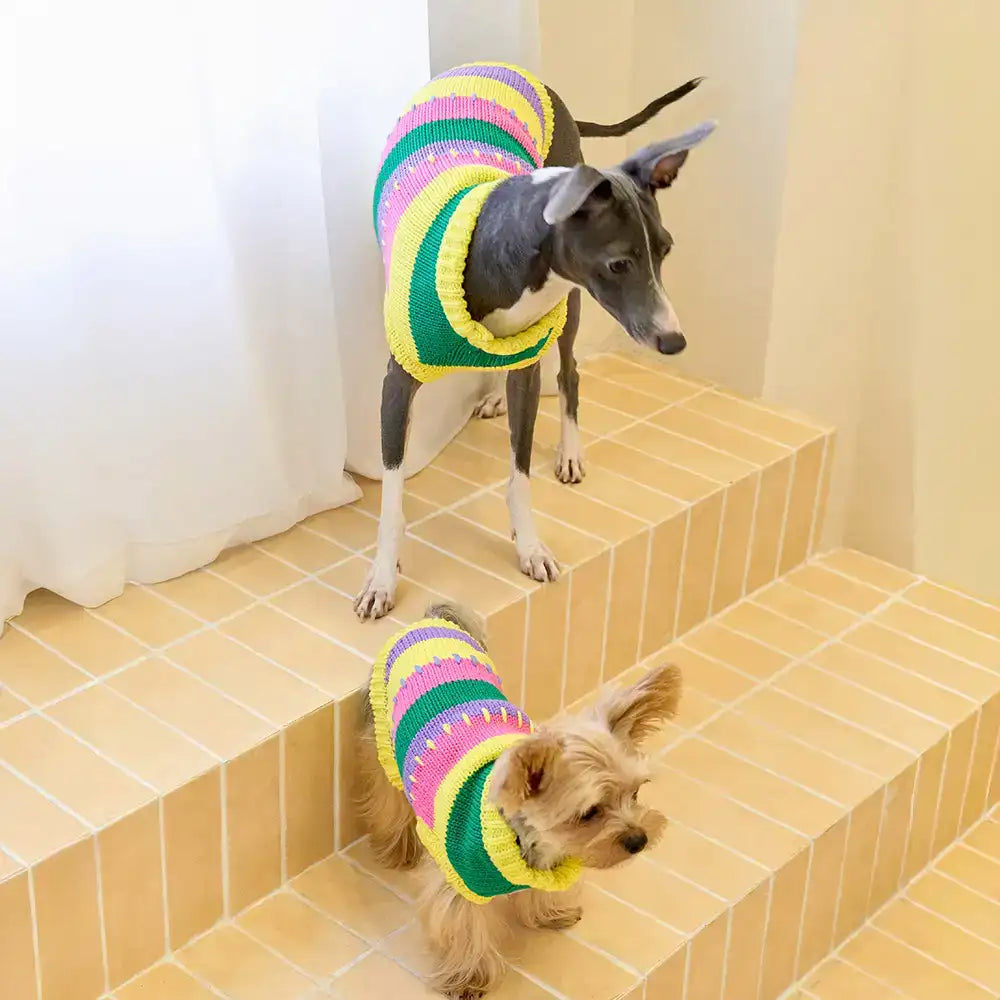 Color Blocked Striped Sleeveless Dog Sweater For Small Dogs – Dog Apparel (view 4) | Petix pet supplies for dogs and cats