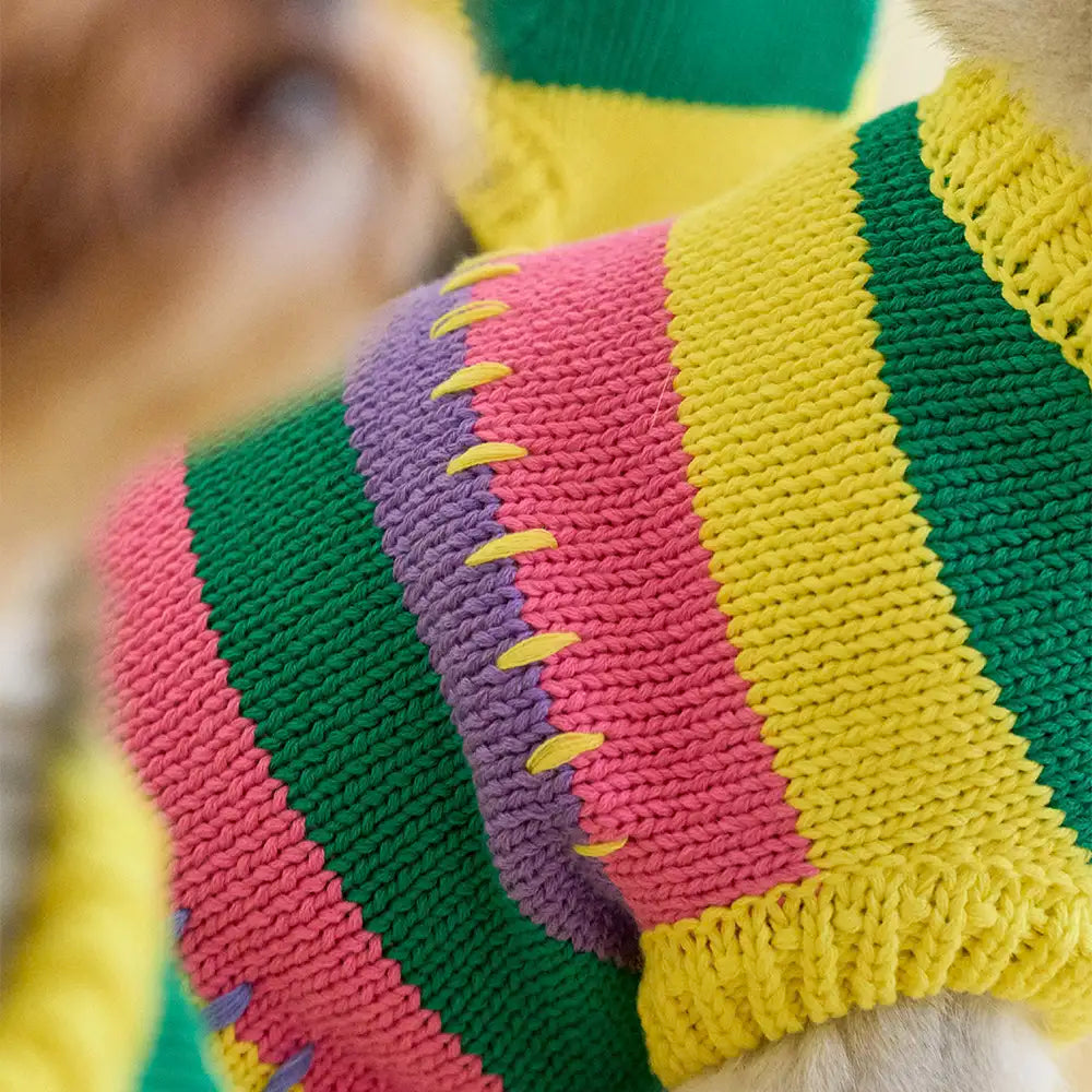 Color Blocked Striped Sleeveless Dog Sweater For Small Dogs – Dog Apparel (view 6) | Petix pet supplies for dogs and cats