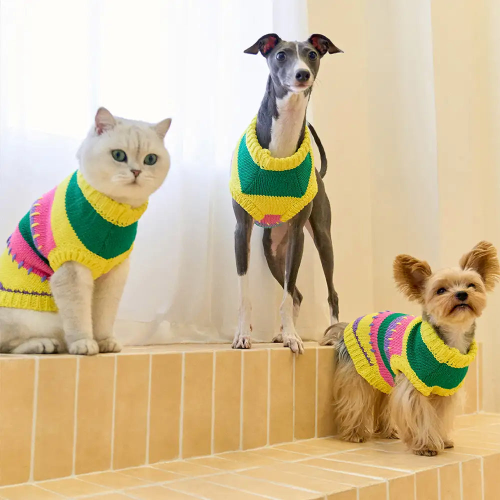 Color Blocked Striped Sleeveless Dog Sweater For Small Dogs – Dog Apparel (view 8) | Petix pet supplies for dogs and cats