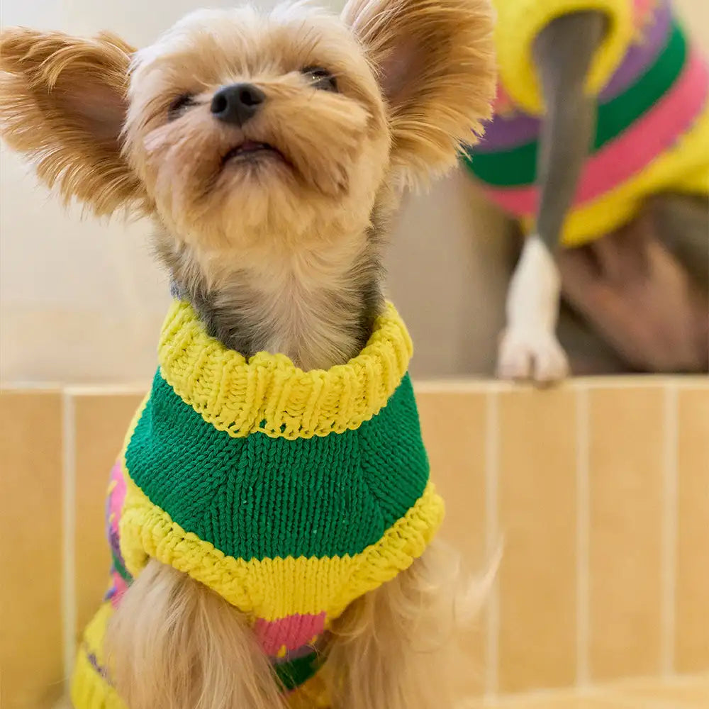Color Blocked Striped Sleeveless Dog Sweater For Small Dogs – Dog Apparel (view 9) | Petix pet supplies for dogs and cats
