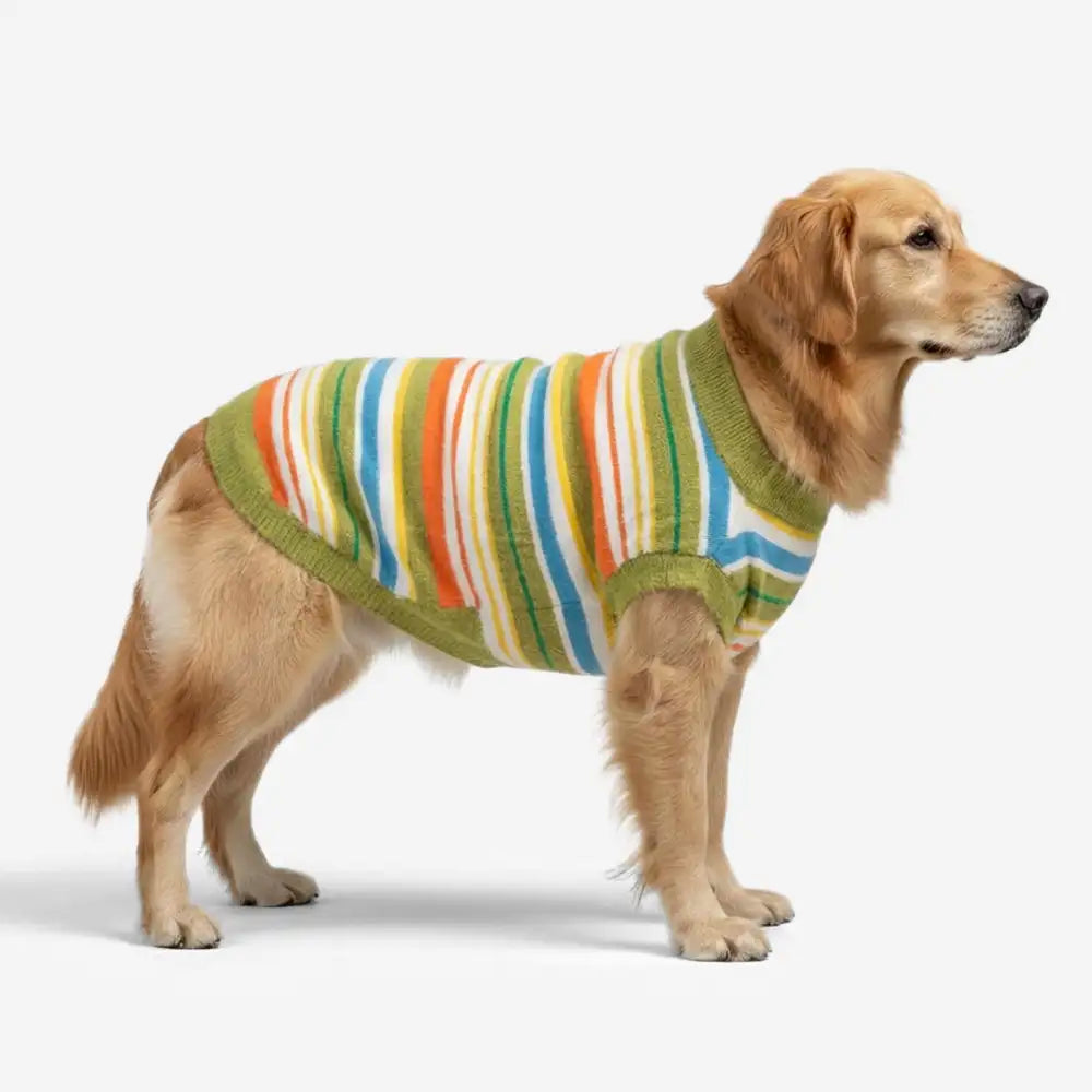 Color Blocked Striped Dog Sweater-Suitable For Large Dogs – Dog Apparel (view 11) | Petix pet supplies for dogs and cats