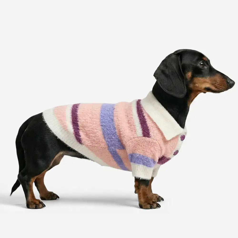 Color-Blocked Striped Faux Mink Fur Warm Dog Sweater Suitable For Small Dogs – Dog App… | Petix pet supplies for dogs and cats