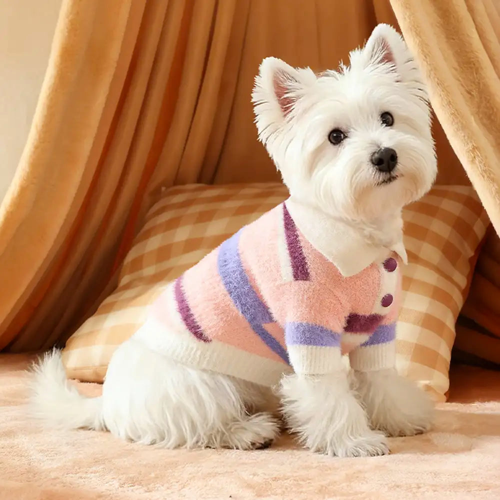 Color-Blocked Striped Faux Mink Fur Warm Dog Sweater Suitable For Small Dogs – Dog App… | Petix pet supplies for dogs and cats