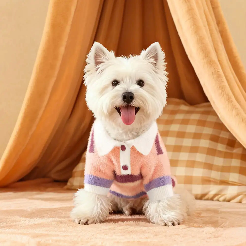 Color-Blocked Striped Faux Mink Fur Warm Dog Sweater Suitable For Small Dogs – Dog App… | Petix pet supplies for dogs and cats