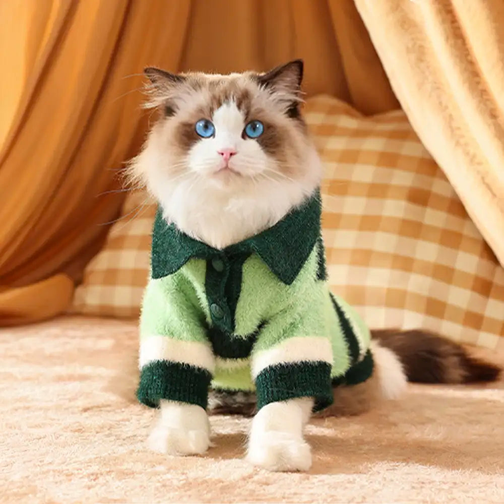 Color-Blocked Striped Faux Mink Fur Warm Dog Sweater Suitable For Small Dogs – Dog App… | Petix pet supplies for dogs and cats