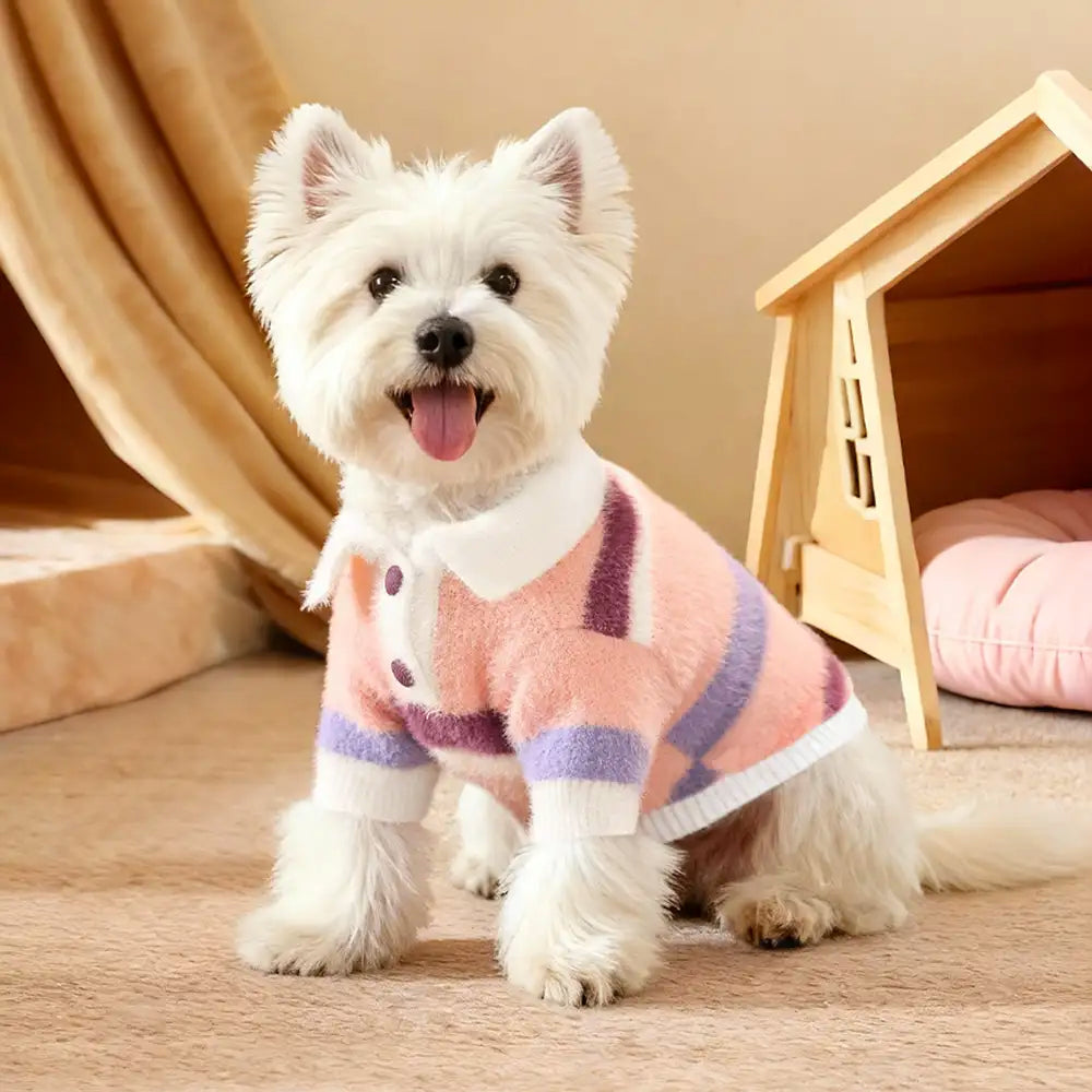 Color-Blocked Striped Faux Mink Fur Warm Dog Sweater Suitable For Small Dogs – Dog App… | Petix pet supplies for dogs and cats