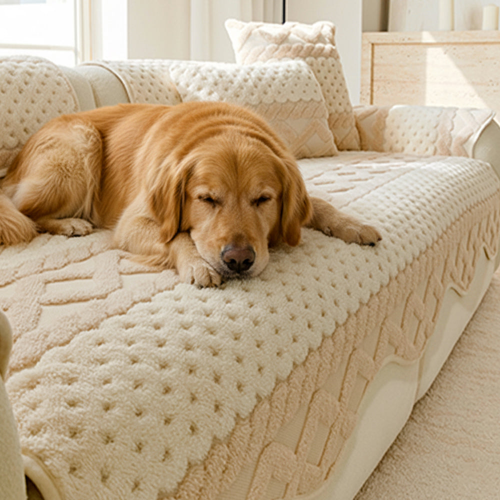 Cookie Comfortable Plush Skin-Friendly Non-Slip Couch Cover – Couch Cover (view 12) | Petix pet supplies for dogs and cats