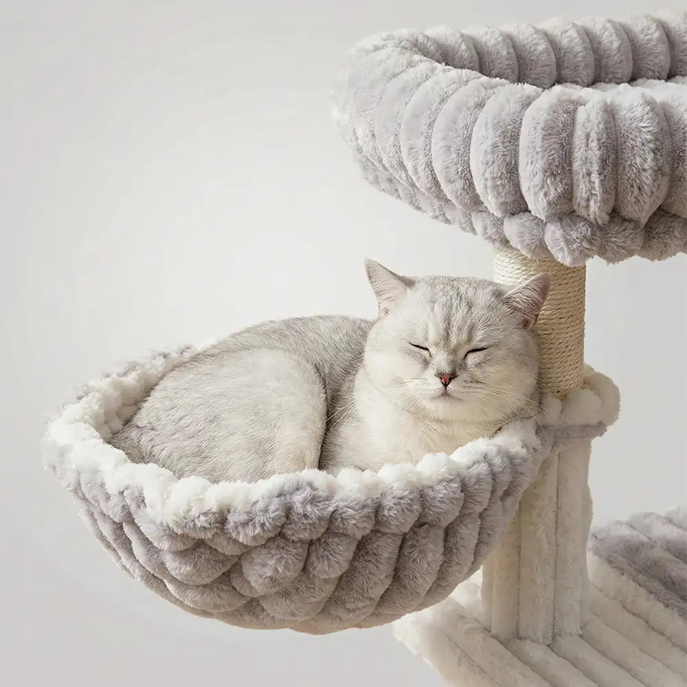 Cozy Fluffy One-Piece Climbing Frame Cat Scratching Cat Tree with Condo – Cat Tree (vi… | Petix pet supplies for dogs and cats