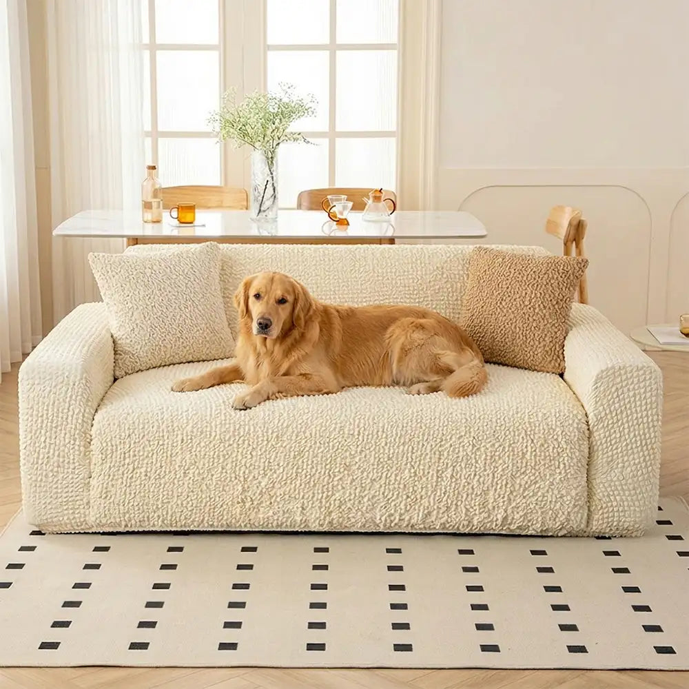 Cream Style Seersucker Breathable Stretchy Full-Coverage Magic Couch Cover – Couch Cov… | Petix pet supplies for dogs and cats