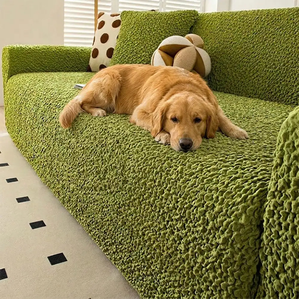 Cream Style Seersucker Breathable Stretchy Full-Coverage Magic Couch Cover – Couch Cov… | Petix pet supplies for dogs and cats