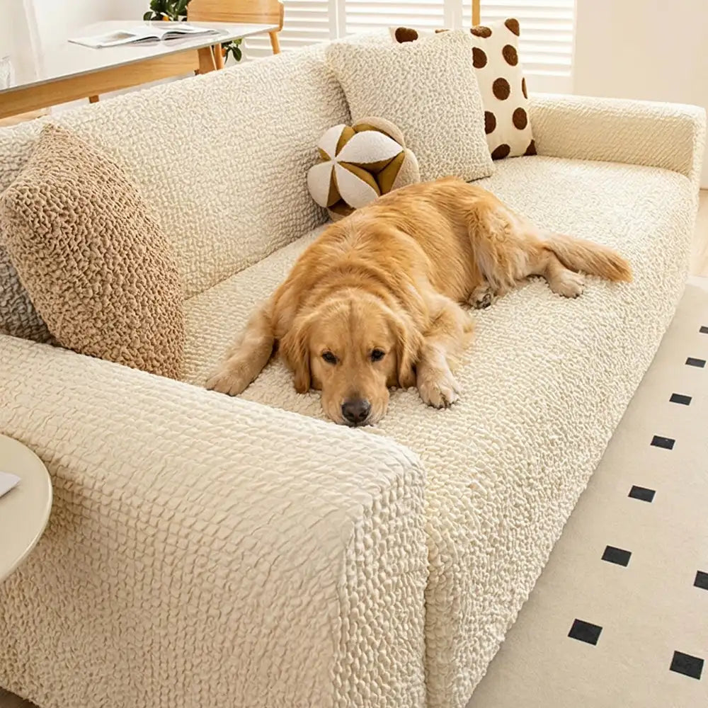 Cream Style Seersucker Breathable Stretchy Full-Coverage Magic Armchair Cover – Couch… | Petix pet supplies for dogs and cats