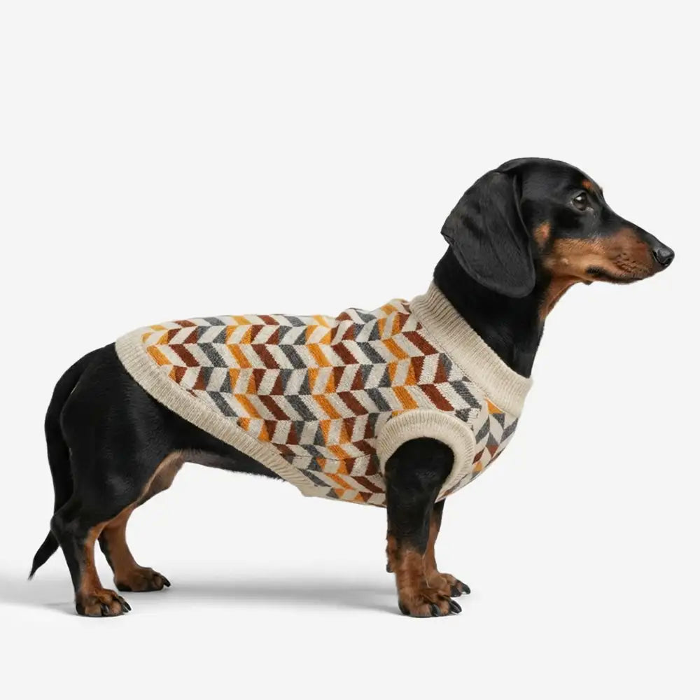 Diamond Striped Dog Sweater For Small Dogs – Dog Apparel (main) | Petix pet supplies for dogs and cats