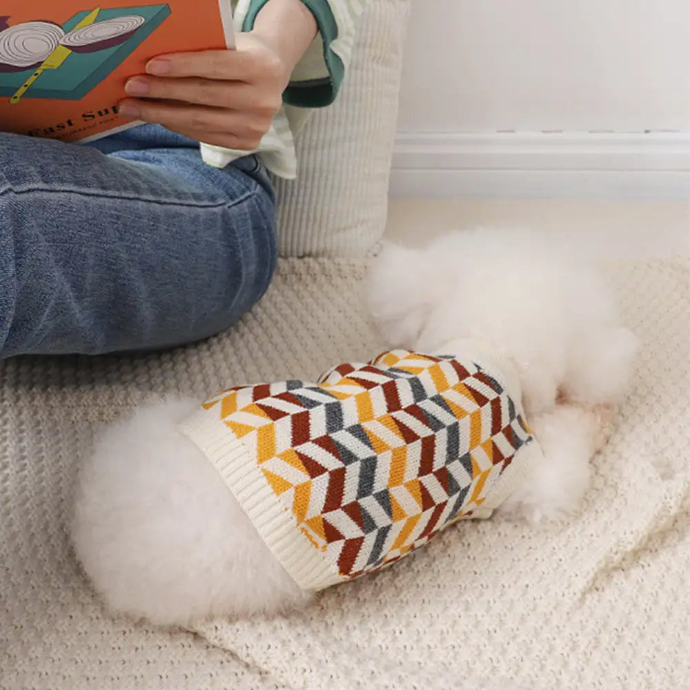Diamond Striped Dog Sweater For Small Dogs – Dog Apparel (view 12) | Petix pet supplies for dogs and cats