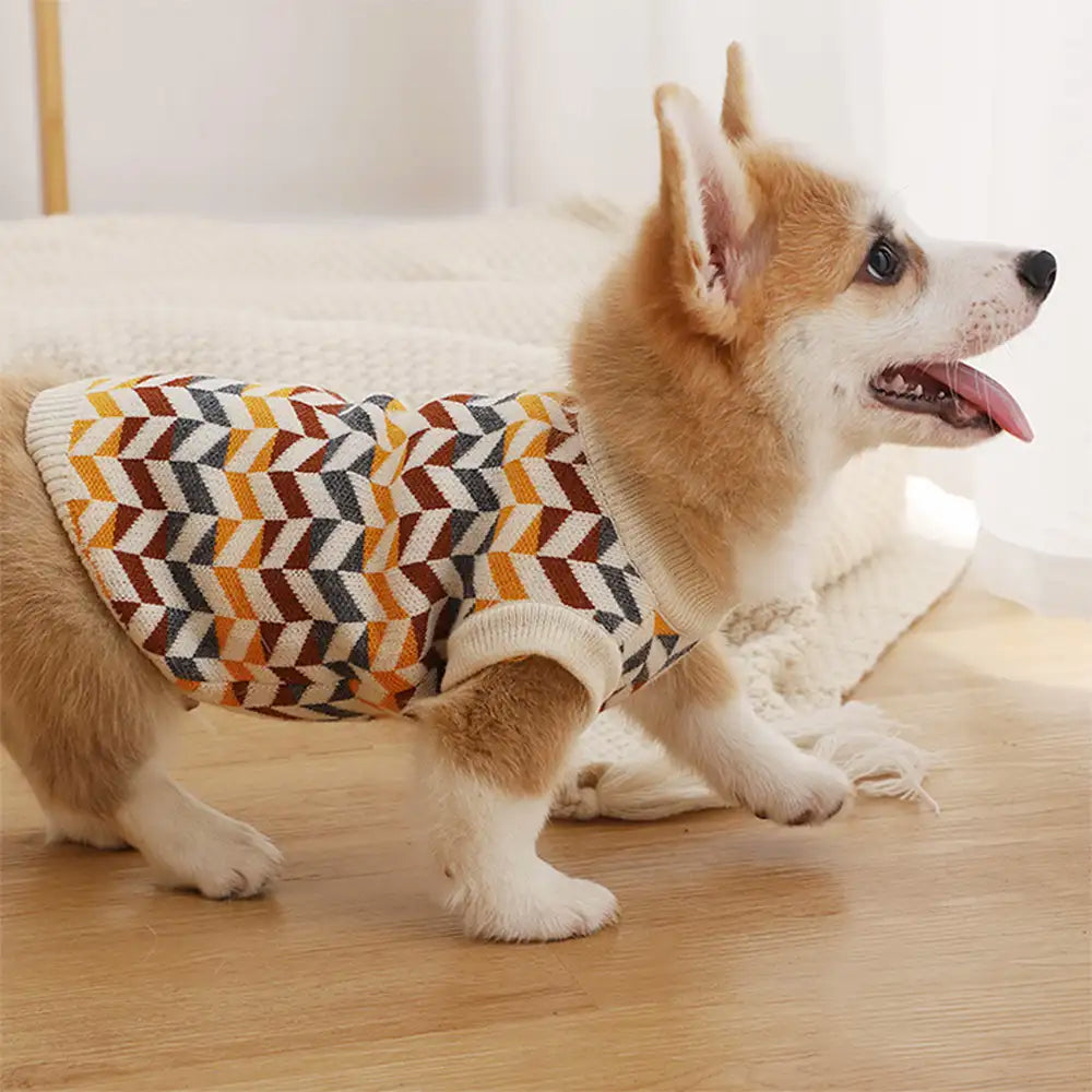 Diamond Striped Dog Sweater For Small Dogs – Dog Apparel (view 2) | Petix pet supplies for dogs and cats