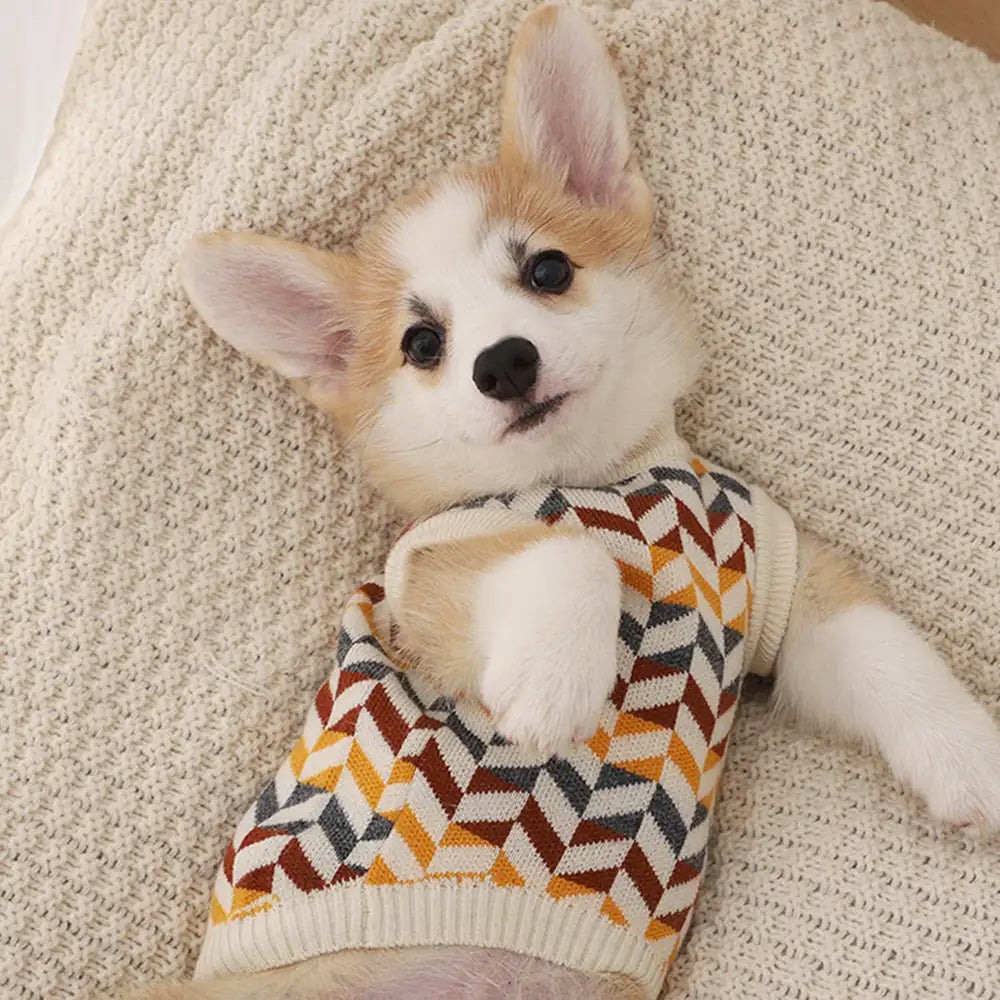 Diamond Striped Dog Sweater For Small Dogs – Dog Apparel (view 3) | Petix pet supplies for dogs and cats