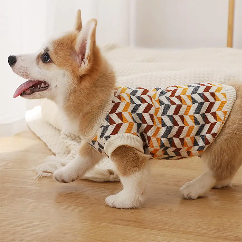 Diamond Striped Dog Sweater For Small Dogs – Dog Apparel (view 9) | Petix pet supplies for dogs and cats